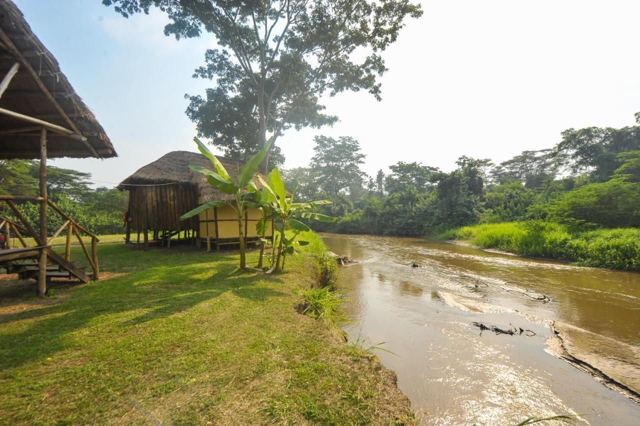 Bullbush River Camp Kihihi Buitenkant foto