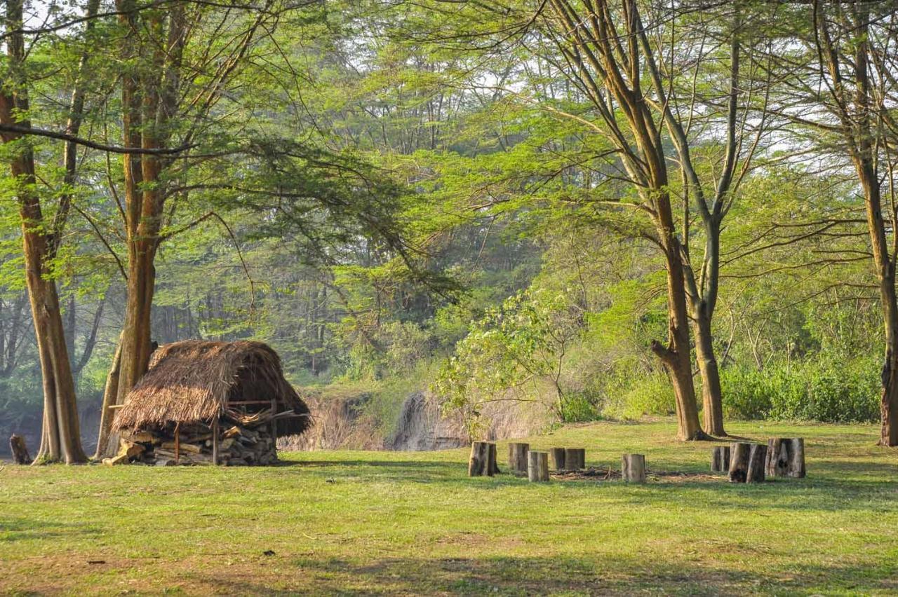 Bullbush River Camp Kihihi Buitenkant foto
